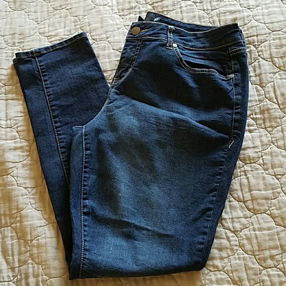 Torrid Skinny Jeans